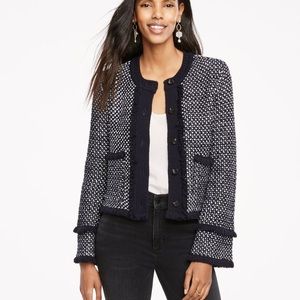 Ann Taylor Knit Fringe Sweater